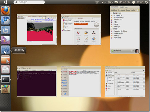 Ubuntu Netbook 10.10